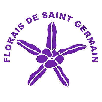 Cópia_de_logo-removebg-preview